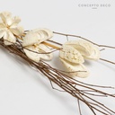 Flores Secas Bouquet Bullet Flower White 70Cm