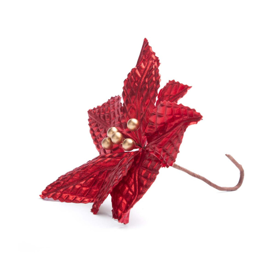 Xin Estrella Federal Roja 22 Cm