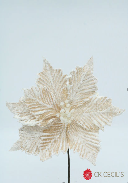POINSETTIA PICK 25 CM. CHMPAGNE/WHITE