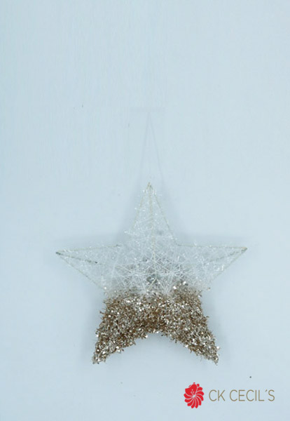 ESTRELLA COLGANTE 25 CM. WHITE CHAMPAGNE