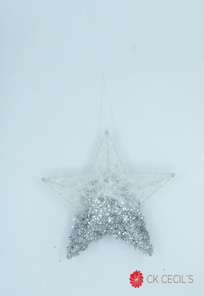 ESTRELLA COLGANTE 25 CM. WHITE SILVER