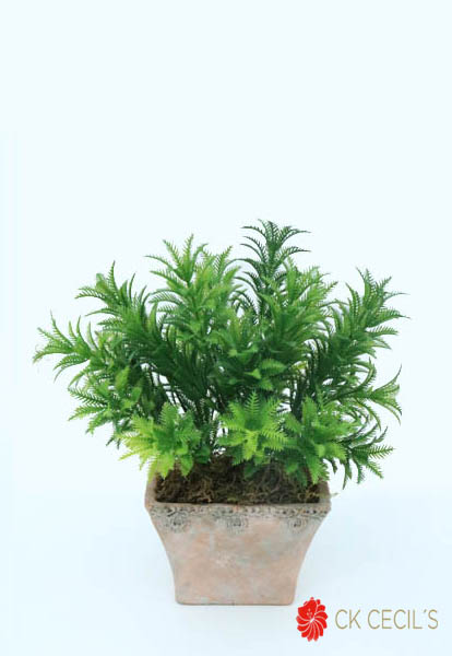 [4130065] Ant.Trap.Chato C/Acacia 29X28C Green Pink