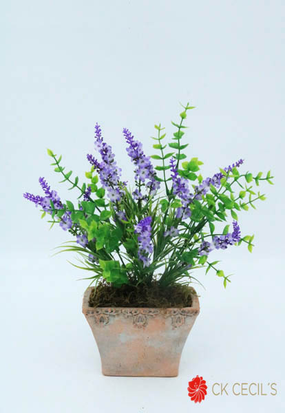 [4130076] Ant. Trap.Chato C/ Lavan 27X27 Lavanda Pink