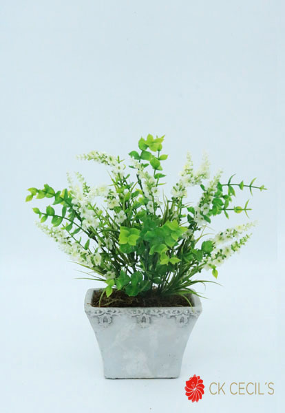 ANT. TRAP.CHATO C/ LAVAN 27X27 WHITE CREAM