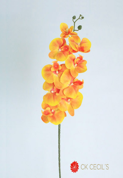 [4130085] Phaleanopsis Spray X9 X1.05Mt Orange