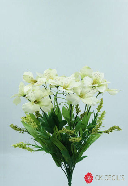 [4130110] Alstromeria Bush X 12 X 50 Cm. Cream