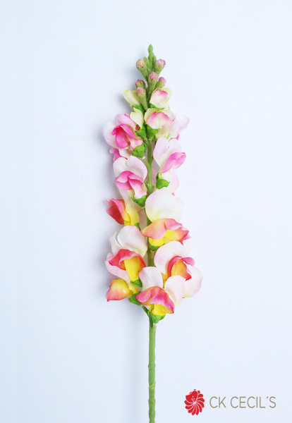 [4130245] Snapdragon Spray X 79 Cm. Cream Pink