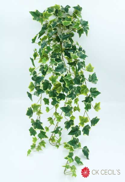 [4130247] Ivy Hanging Bush 191Lvs 86Cm Variegated