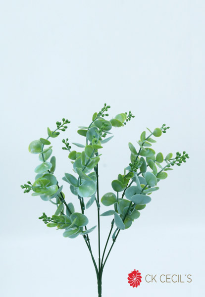 [413368] Eucaliptus Bush X 5 X 32 Cm. Grey Green