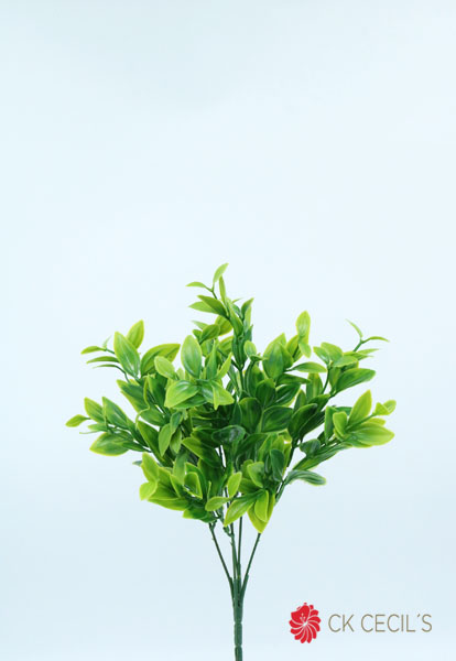 BOJES BUSH X 5 X 32 CM. GREEN