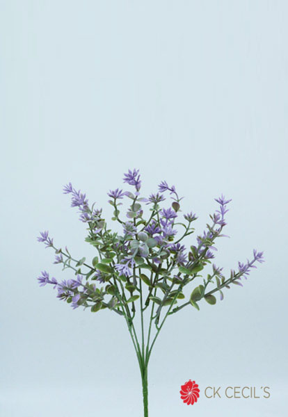 [413371] Star Flowers Bush X 5 X 30 Cm Lavander