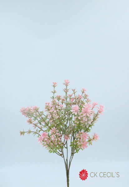 [413374] Star Flowers Bush X 5 X 30Cm Pink