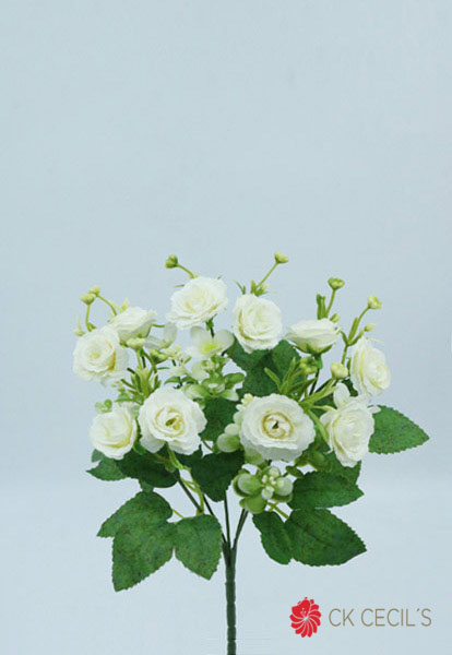 [413388] Mini Rose Bush X 5 X 30 Cm White