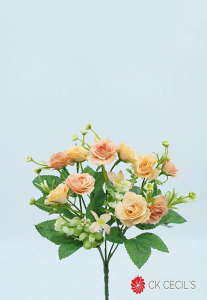 [413391] Mini Rose Bush X 5 X 30 Cm Salmon