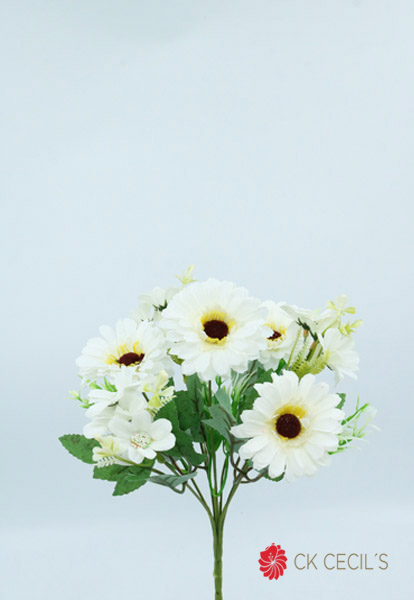 [413392] Daisy Bush X 7 X 30Cm White