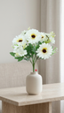 Daisy Bush X 7 X 30Cm White