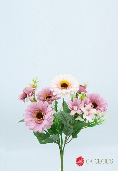 [413393] Daisy Bush X 7 X 30Cm Pink