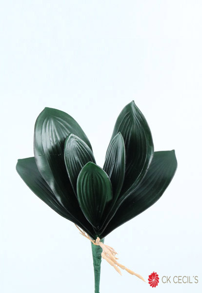 [413395] Orchid Leaf X 7 30 Cm. Green