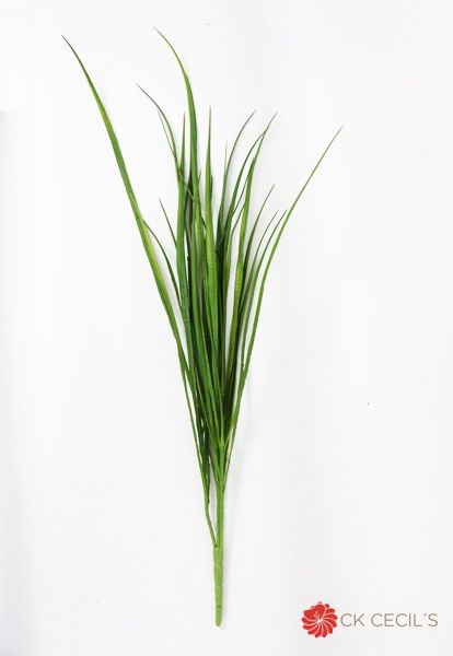 [413482] Grass Bush W/29 Lvs X 86 Cm Verde