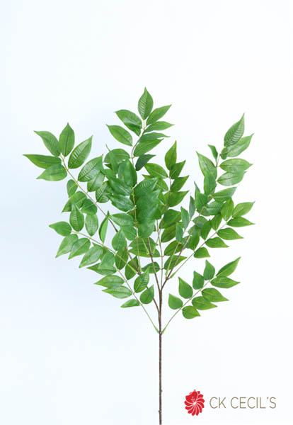 [413486] Glicina Leaf X 3 X 85 Cm. Green