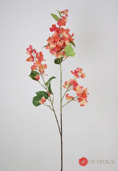 Boungainvillea Branch 1.19Cm Peach