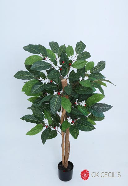 [413761] Coffe Tree X 126 Lvs. X 92 Cm. T.T. Green