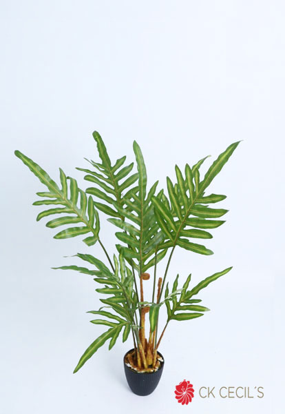 POTTED FERN X 12 LVS X 91CM GREEN