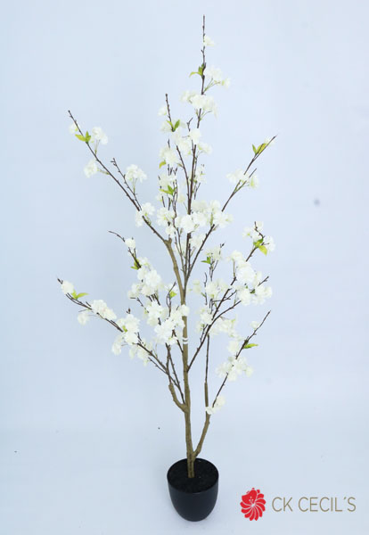 [4130234] Cherry Blossom Tree X 1.50 Mts White2