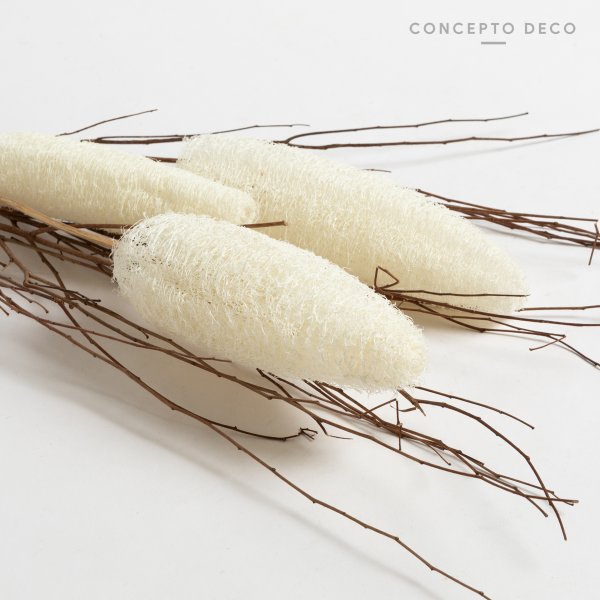 [165745] Flores Secas Bouquet Luffa 29Cm