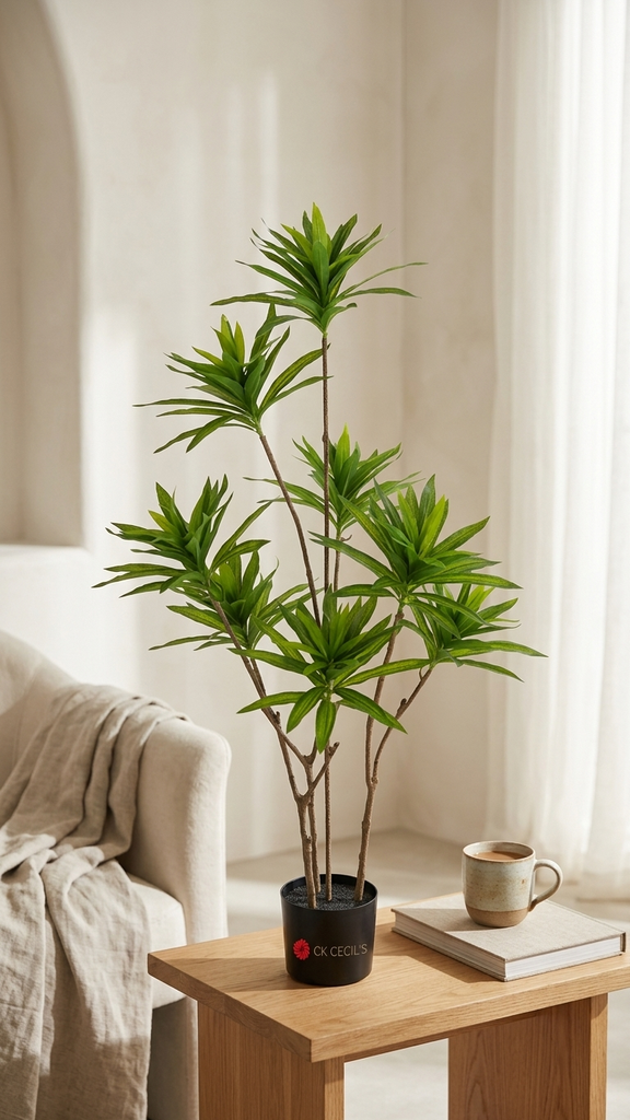 [413606] Dracena Tree X8 X224L. X1.20Mt