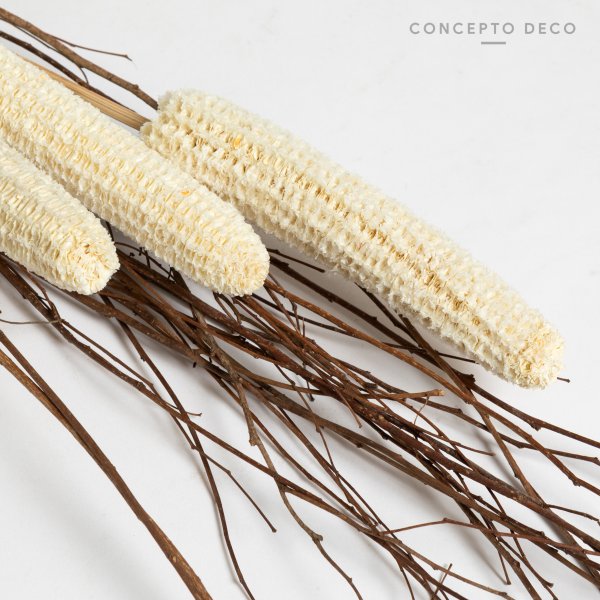 [165678] Flores Secas Bouquet Bhutta 30Cm