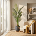 Areca Palm X 30 Lvs. X 1.80 Mt T.T. Green