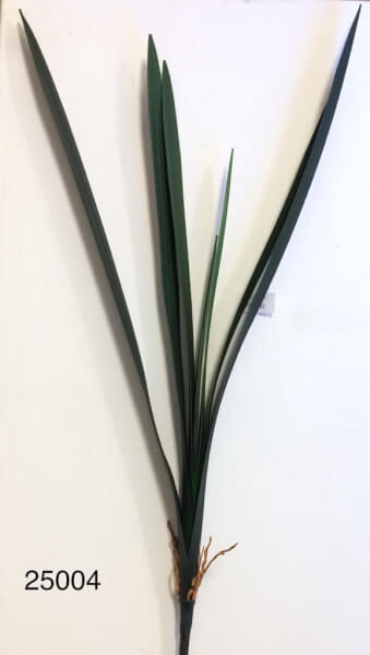 Vara  Hoja Espada C/Raices 80 Cm