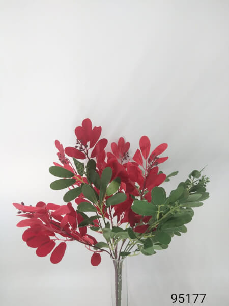 [1800510] Mata De Pittosporum