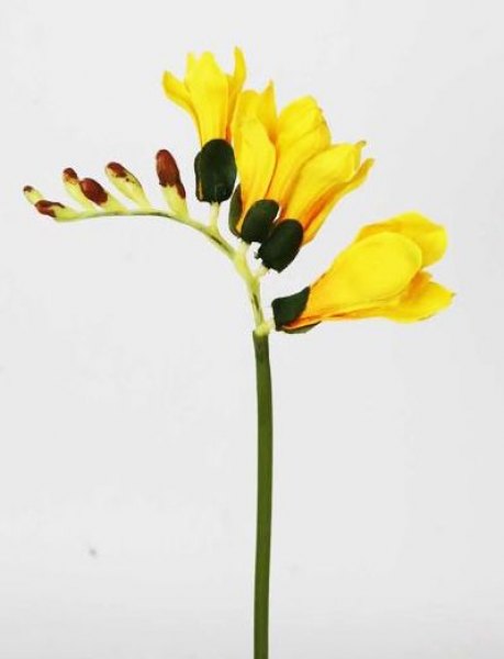 FRESIA STEM 29 CM YELLOW