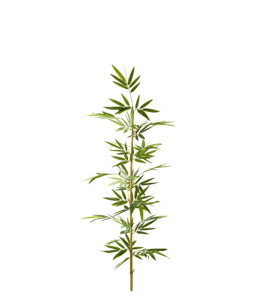 [413277] Caña De Bamboo X 1.8 Mts