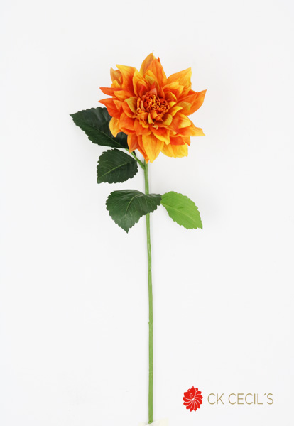 Dahlia Spary X 61Cm (Orange)