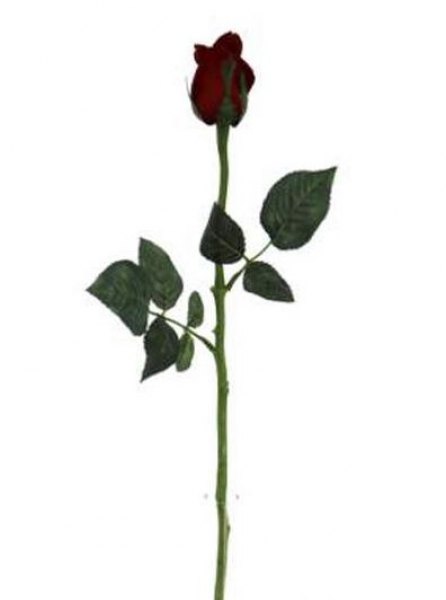 MARY ROSE BUD 57 CM. RED