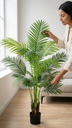 Areca Palm Nat. 1.35Mt Green