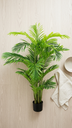STYLE HAWAIAN PALM X21X1.50MT T.T. GREEN
