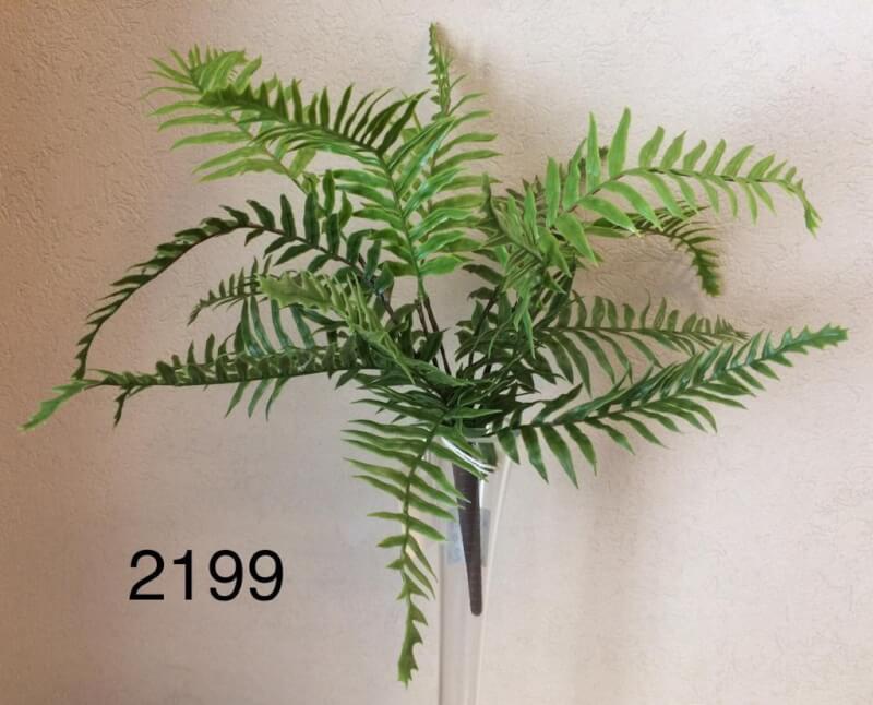 [180059] Helecho 40Cm