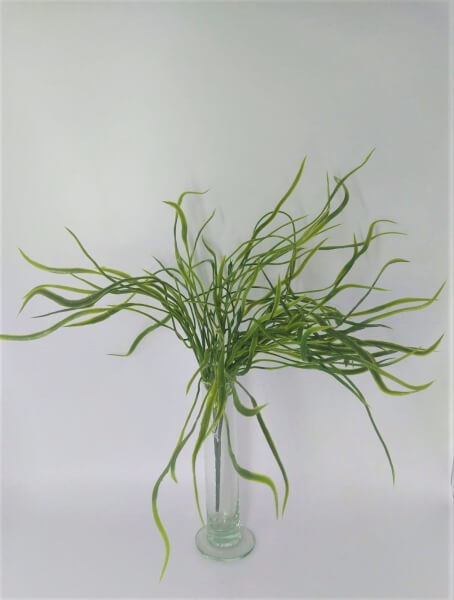 [180096] Mata De Eucalipto X 7(33Cm)