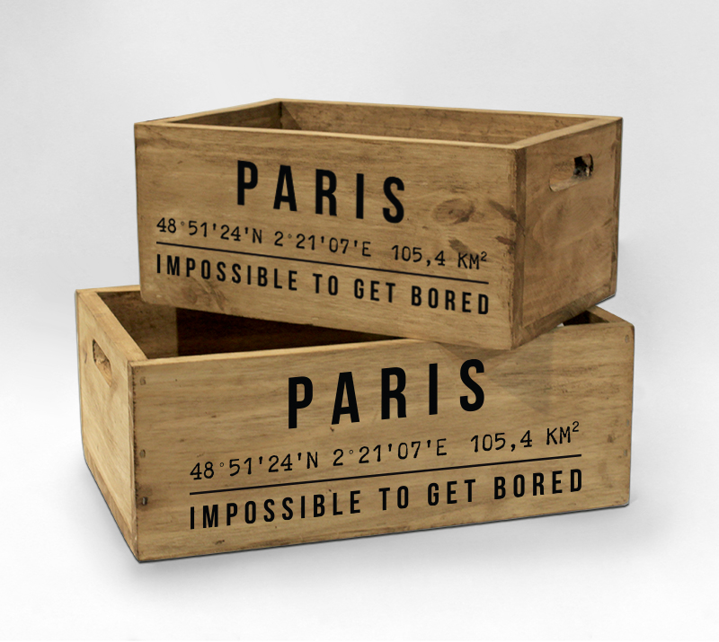 CAJAS ORGANIZADORAS RECTANGULARES GPS PARIS 36 X 21 X 14 CM - RECTANGULAR 