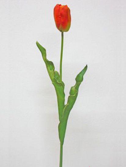 Tulip Stem 57 Cm. Orange