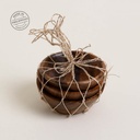 Set De 3 Copetineros Conicos Acacia Manila 10 Cm