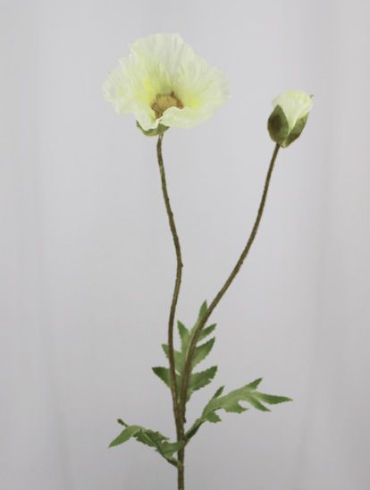 POPPY W/ 1BUD 56 CM. CREAM 