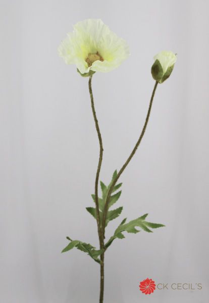 [413676] Poppy W/ 1Bud 56 Cm. Cream