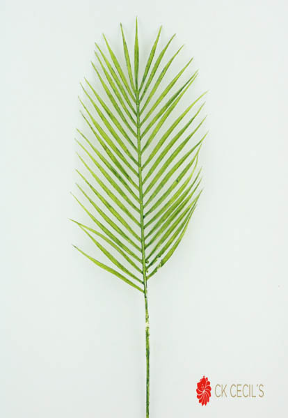 PALM LEAF 71 CM (GREEN)