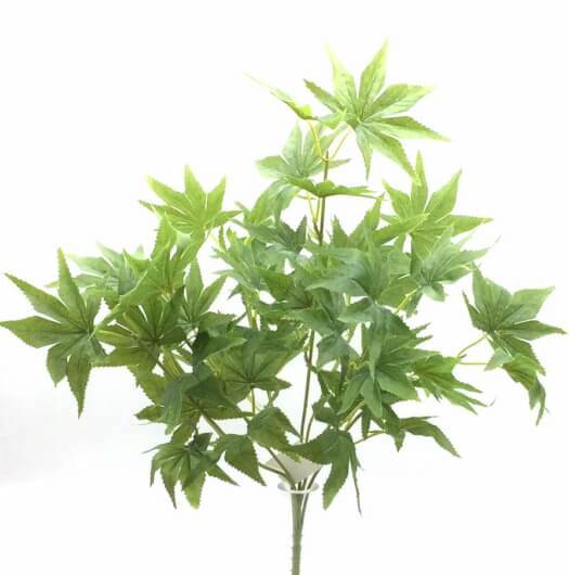 [180307] Planta Aralia 48Cm