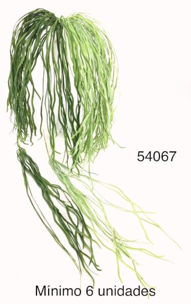 [180308] Pix Caida Pasto Lacio 77Cm